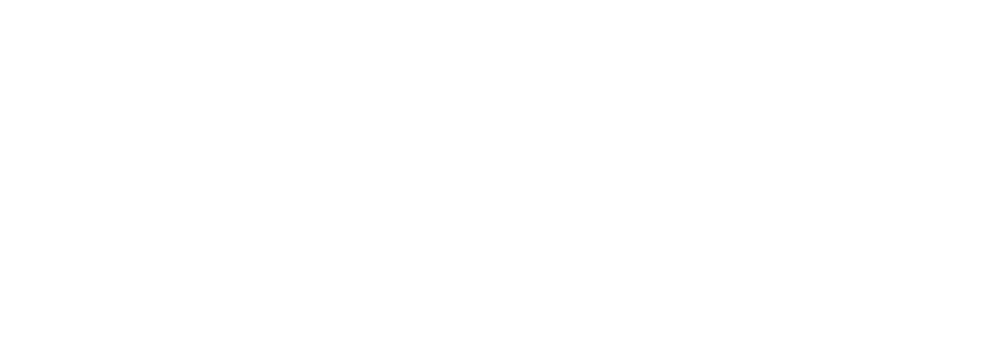 Voodoo logo